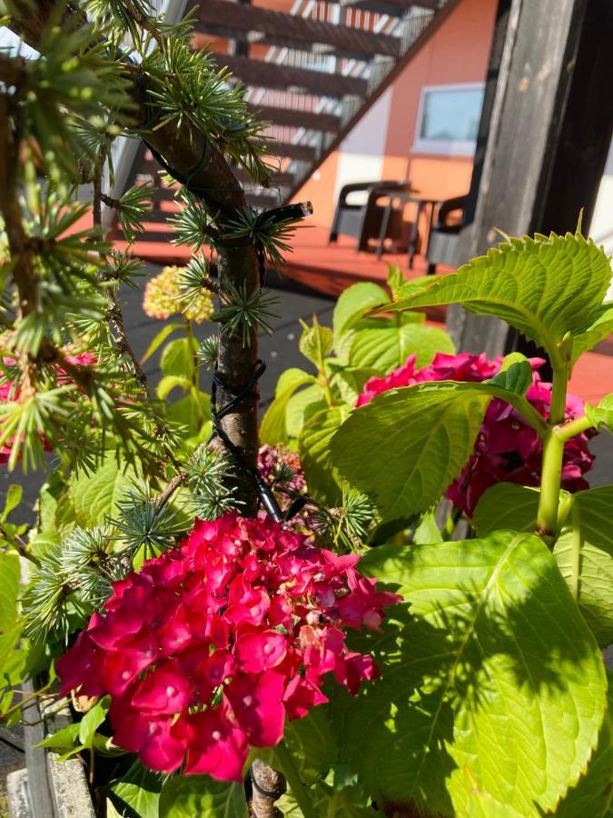 Flotmyrgarden Apartment Hotel ハウゲスン エクステリア 写真
