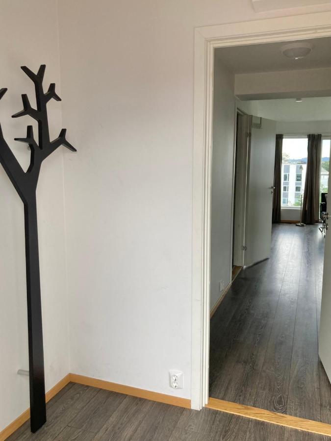 Flotmyrgarden Apartment Hotel ハウゲスン エクステリア 写真